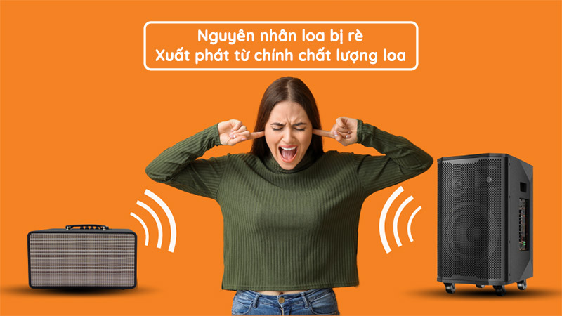 Loa bị rè do chính chất lượng của chiếc loa