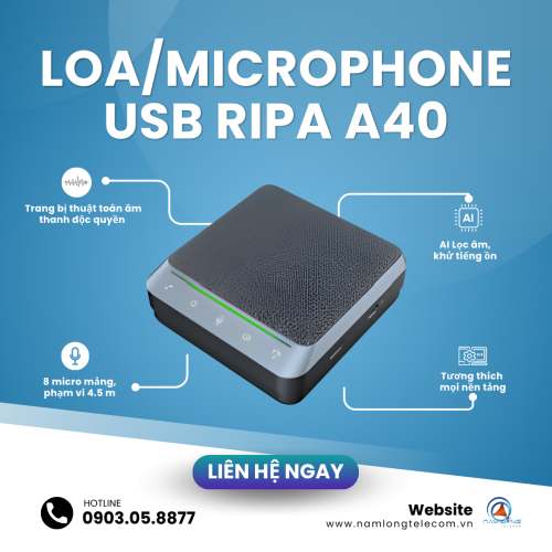 Loa Microphone USB RIPA A40