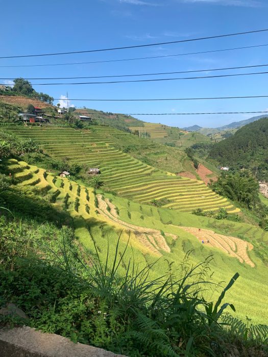 Lao Chải - Lào Cai
